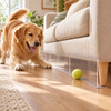 PawGap™ Keep Their Favorite Toys Within Reach
